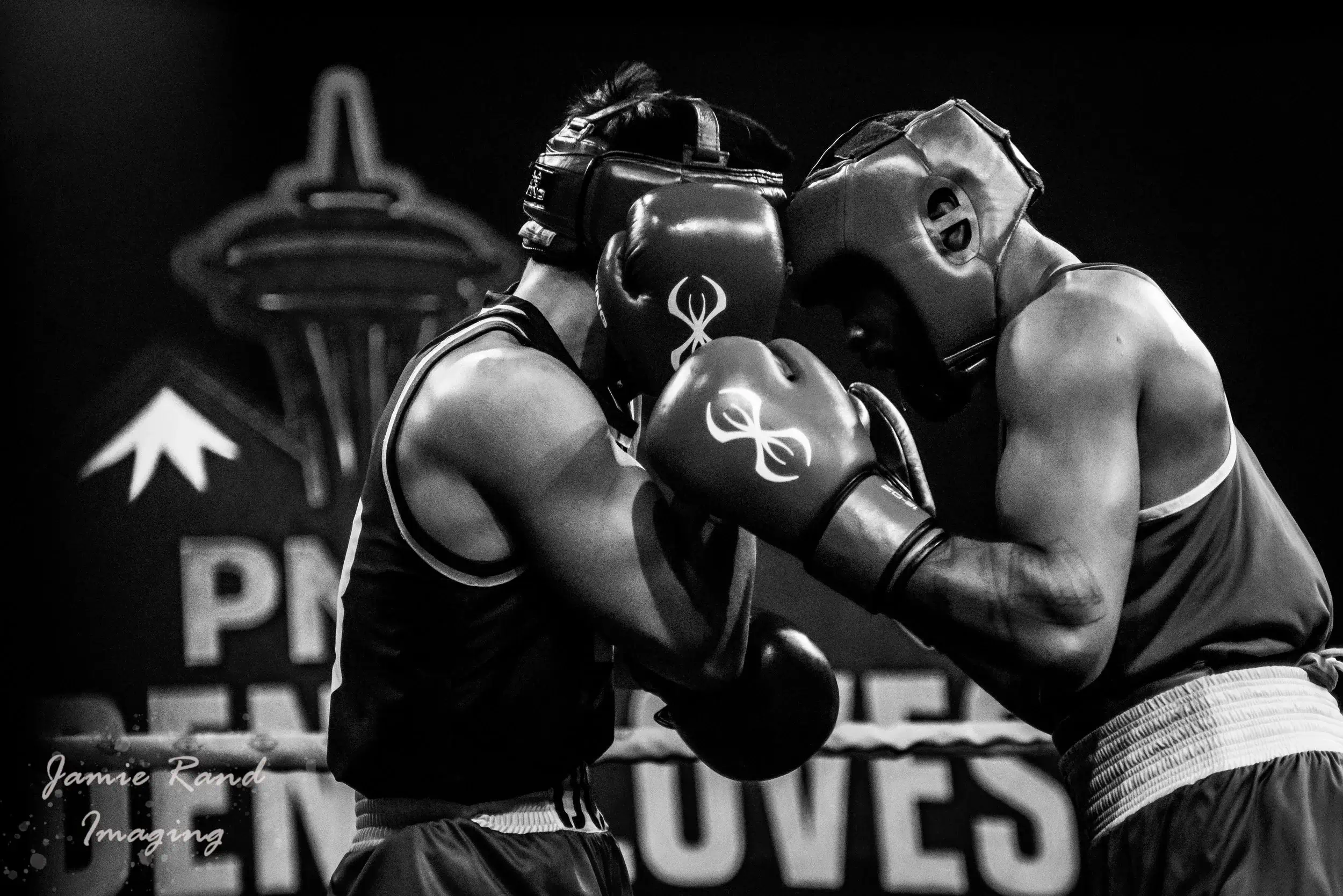 Adult Boxing